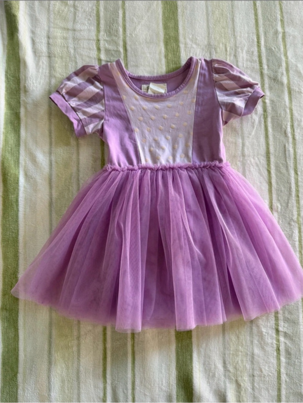 Taylor Joelle Rapunzel Tulle Dress